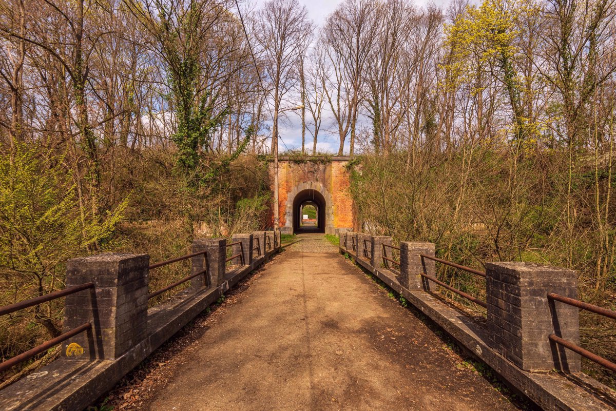 Schaffense Poort (1)