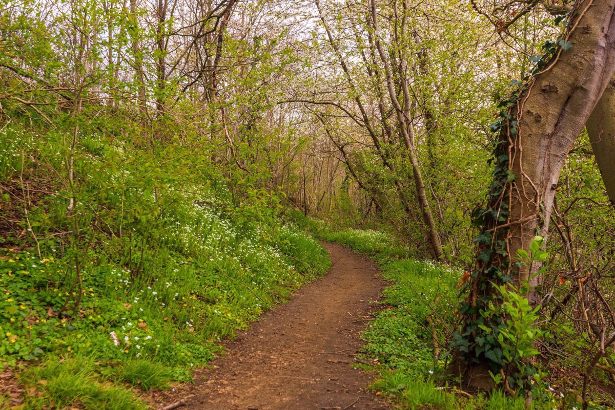 Wandelpad Tweede Wal