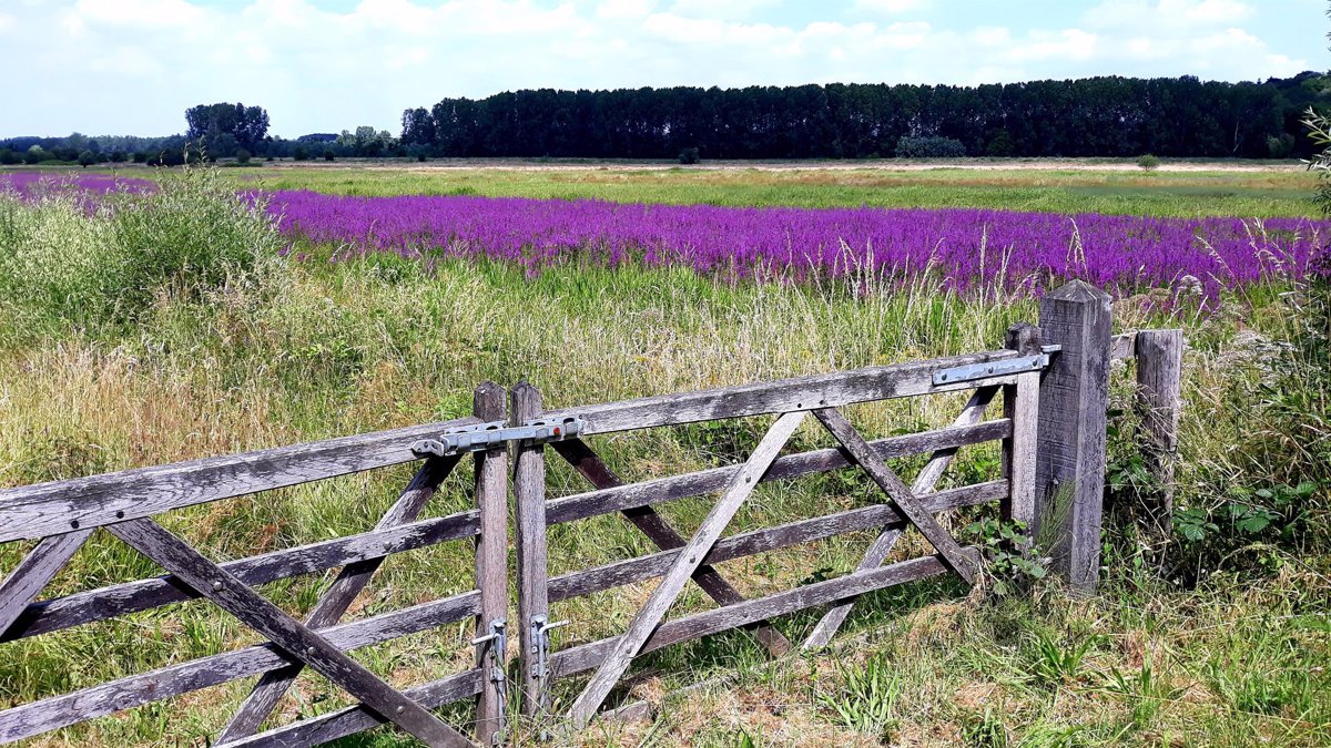 wandelen (1)