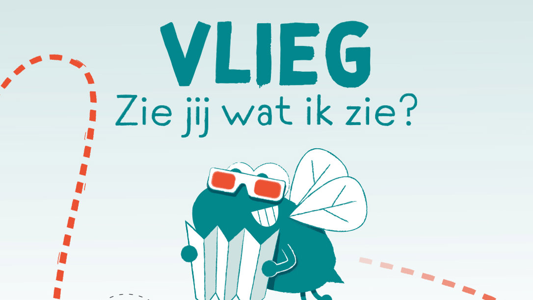 Schatten van Vlieg - zoektocht