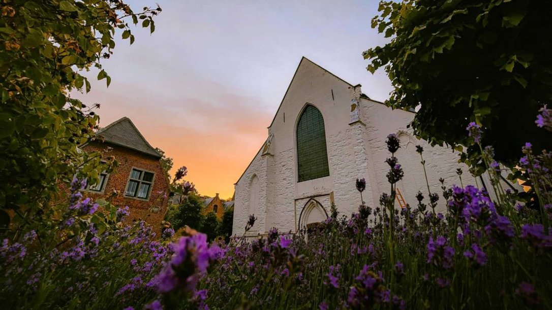 Sint-Catharinakerk - Begijnhof