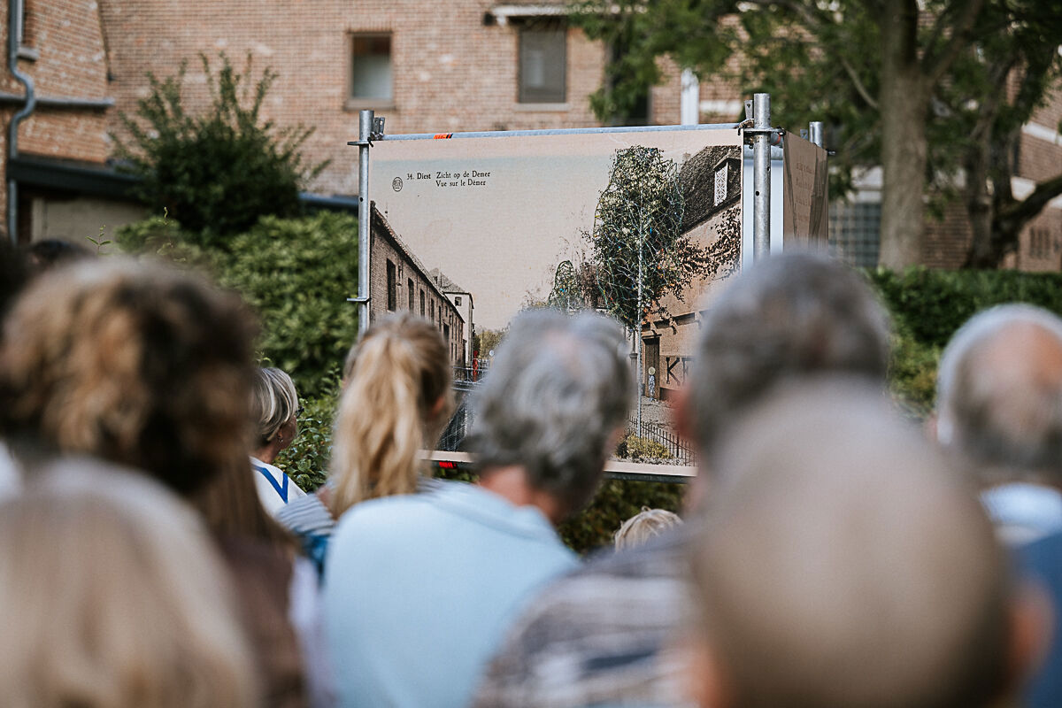 545544135 1228344179334068 835128518188810213 N