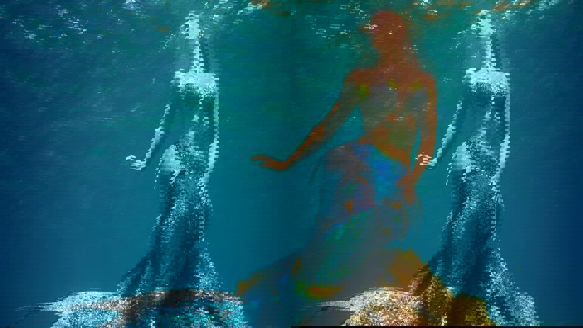 8883E64c0cd6d19179dc9ffd4953b523