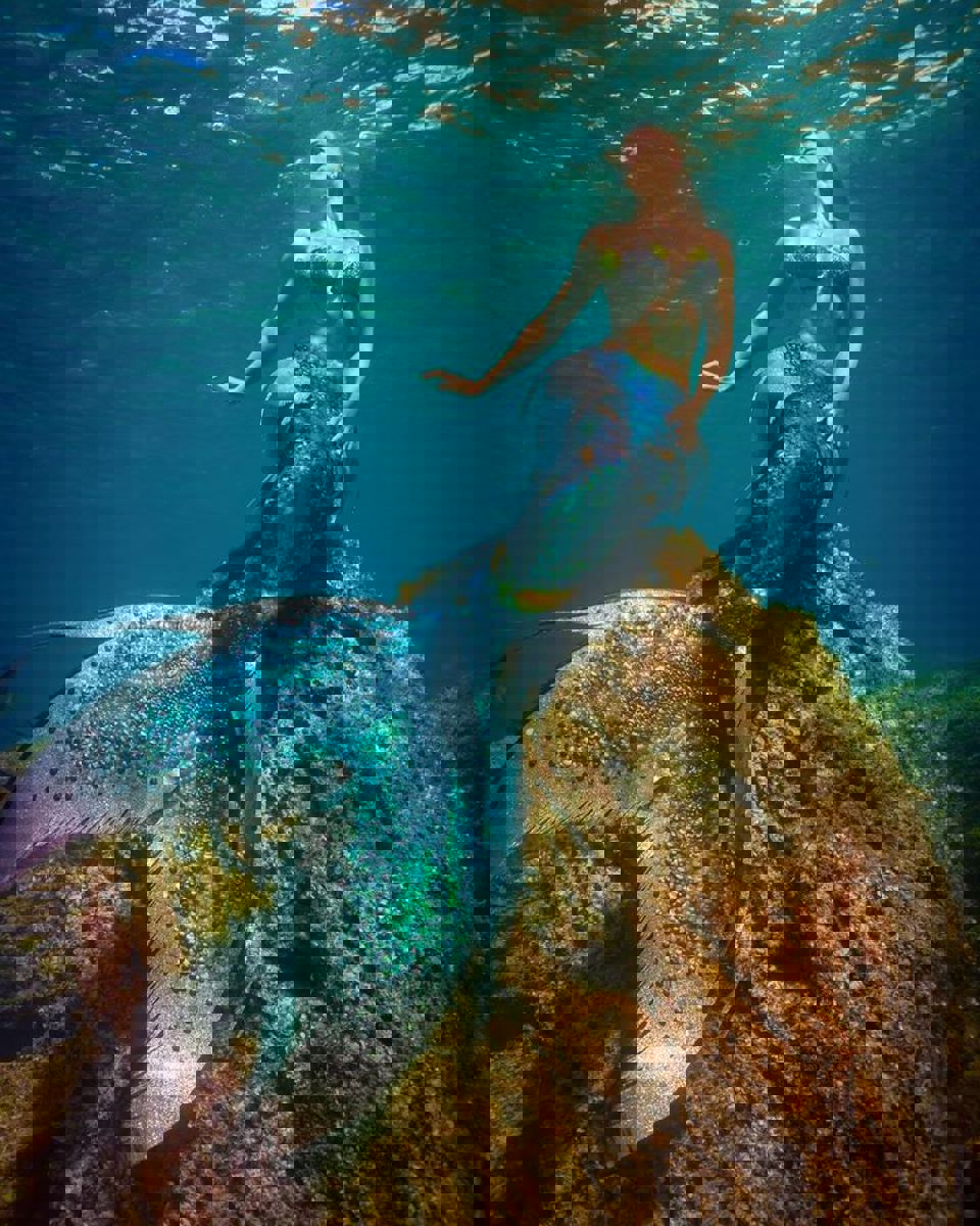 8883E64c0cd6d19179dc9ffd4953b523