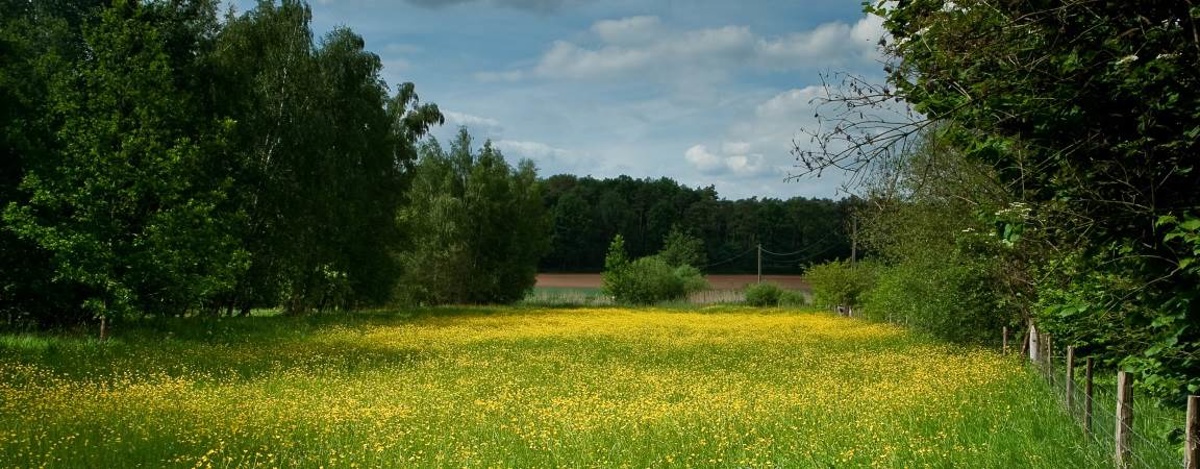 Asdonk Wandeling