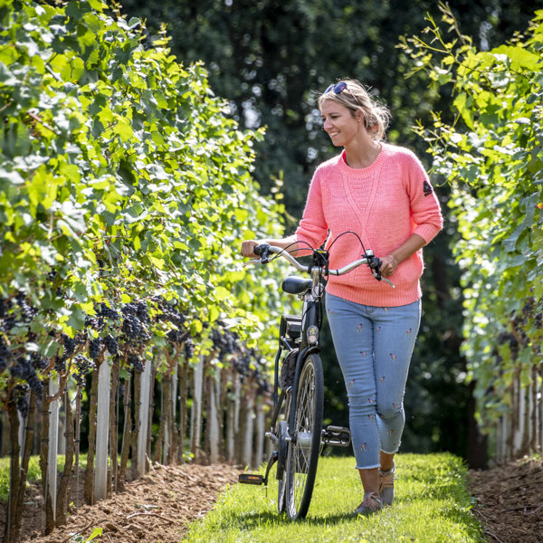 Fietsen Langs De Wijngaarden 7©Lander Loeckx