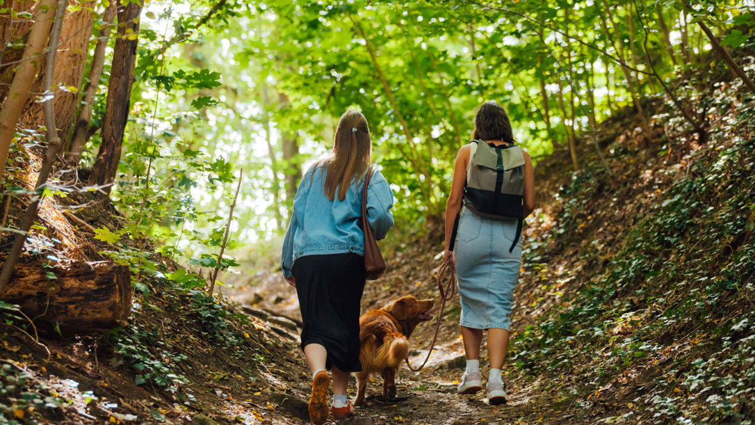 Kelbergenwandeling