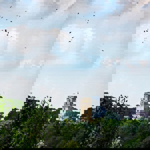 490469763 740174171665977 9090846312274429299 N