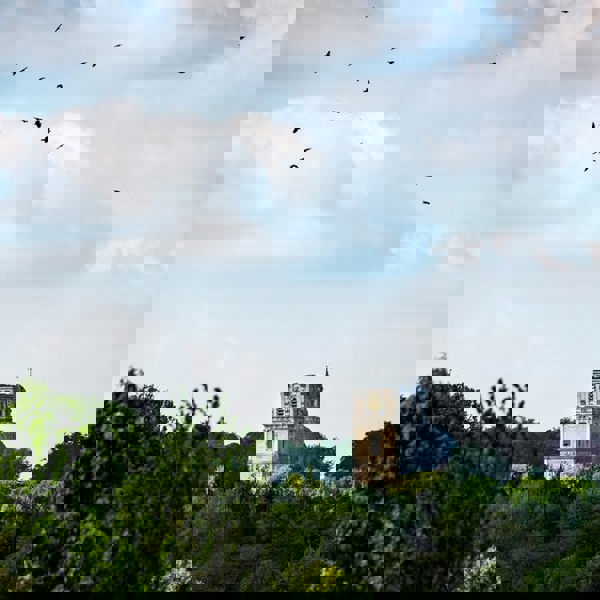 490469763 740174171665977 9090846312274429299 N