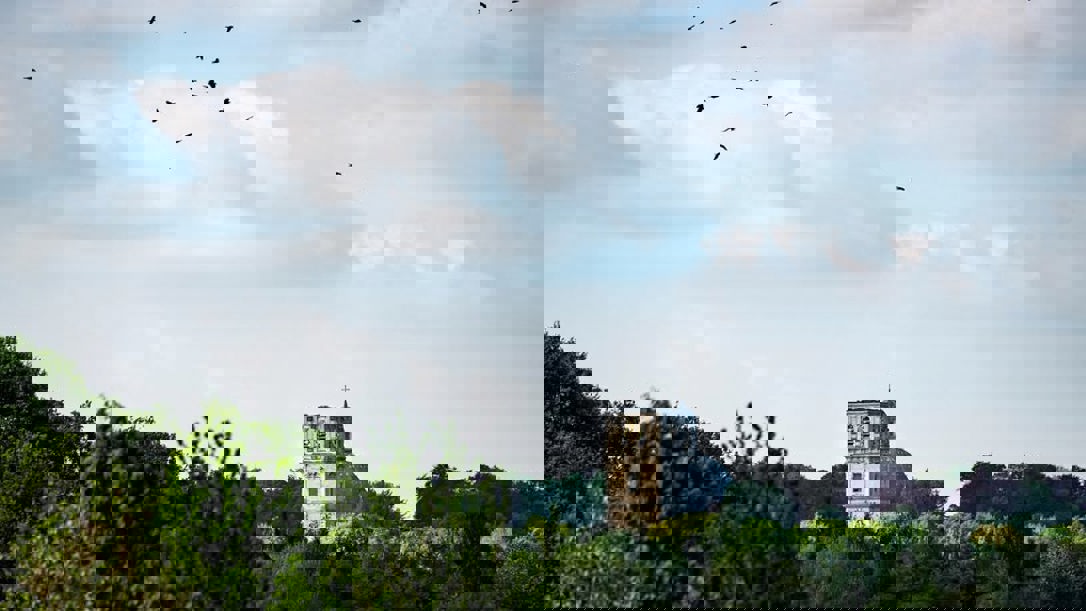 Langs Pelgrimswegen naar Scherpenheuvel vanuit Diest
