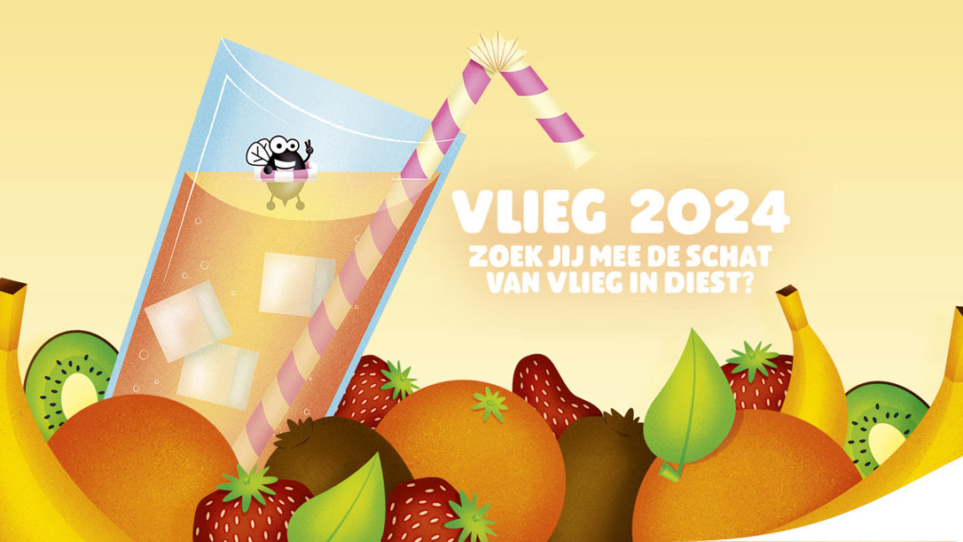 Zomer van Vlieg