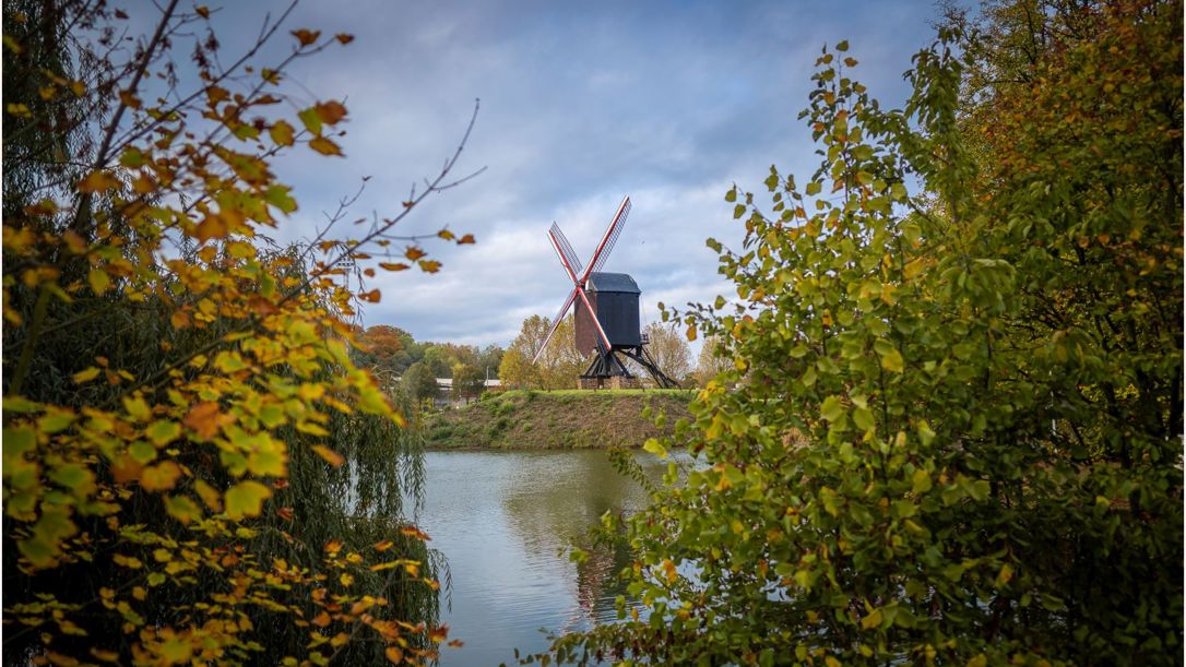 De Lindenmolen - rondleiding