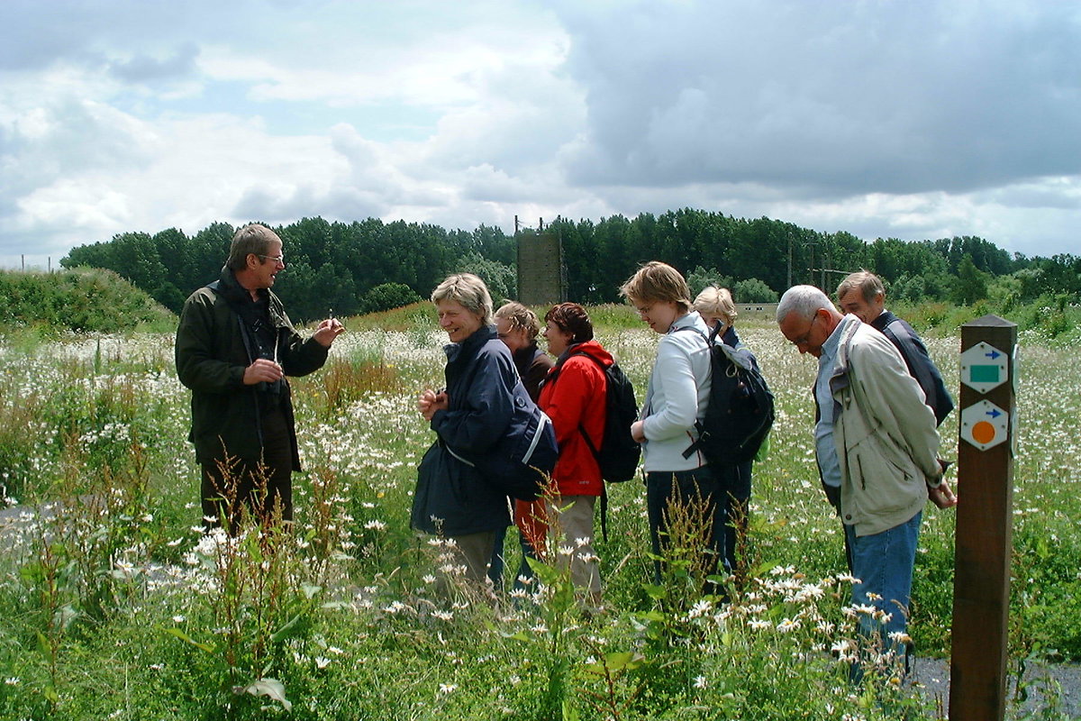 Wandelingwebbekoms Broek